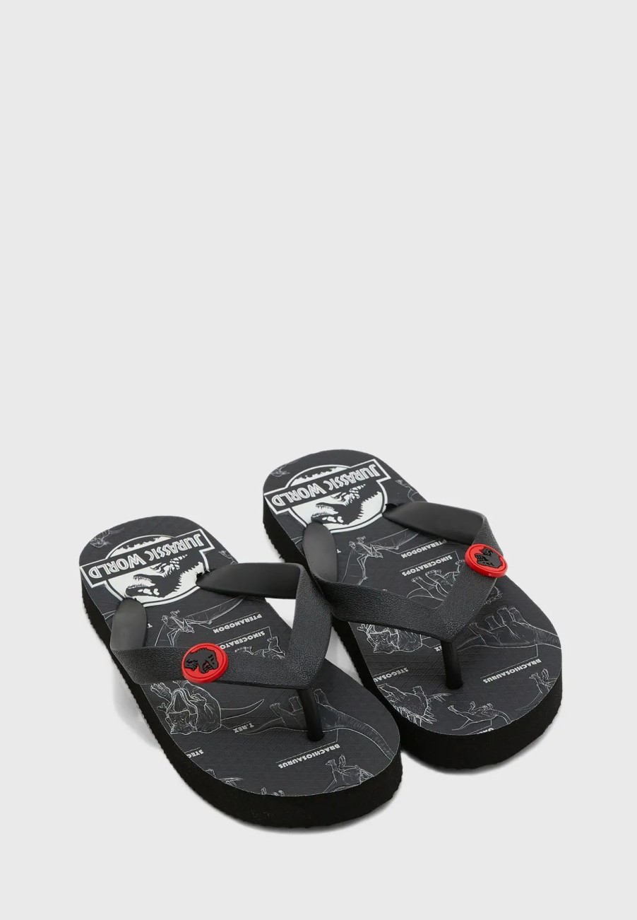 Sandals & Slydes | * Universal Kids Jurassic Park Flip Flops